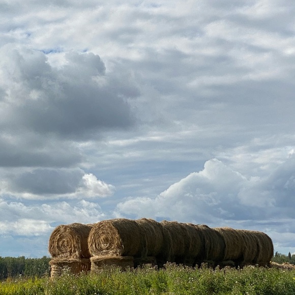 Meet your Posher, Roxanne - Picture 1 of 1